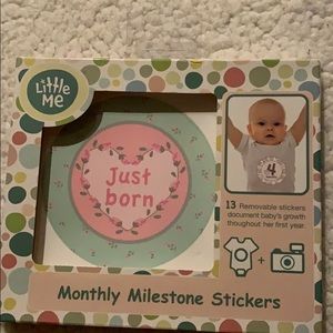 Baby girl monthly milestone stickers